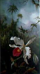 Martin Johnson Heade Two Hummingbirds China oil painting art